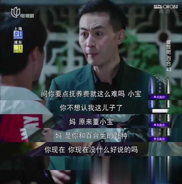 《绽放吧百合》董小宝生身秘密曝光,百合遭遇车祸重伤昏迷